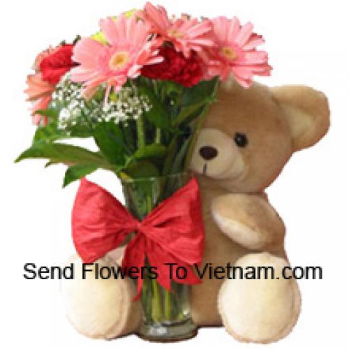 12 Red Carnations and Pink Gerberas with Teddy