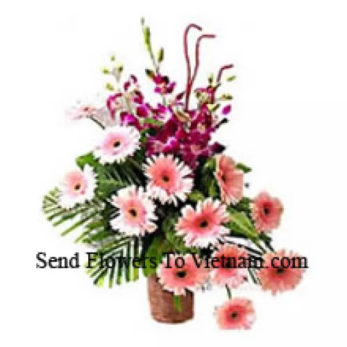 Basket Of Orchids And Gerberas