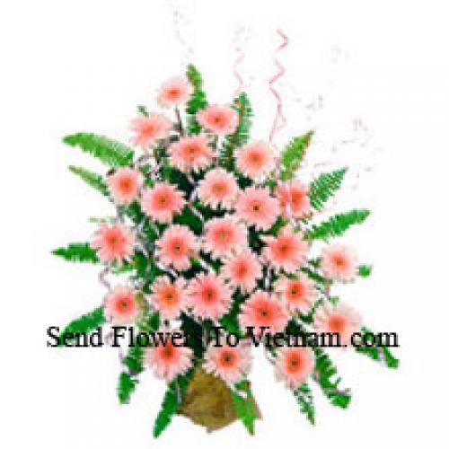 24 Cute Pink Gerberas