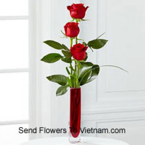 3 Cute Red Roses